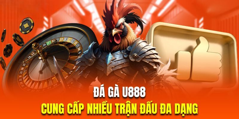 Top 4 hình thức chọi kê được ưa chuộng nhất